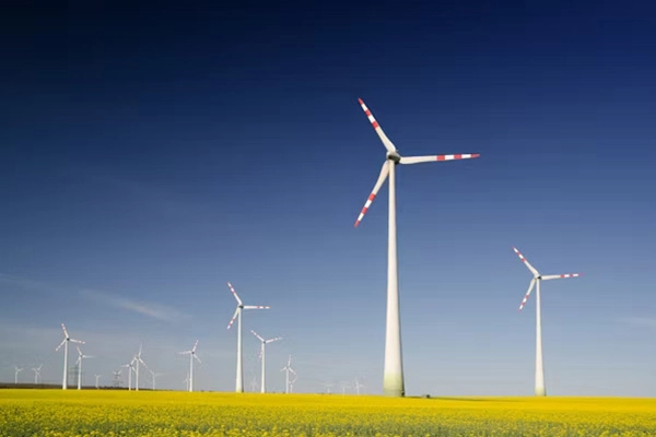 Nickel Products: Powering Innovation in the Energy Sector